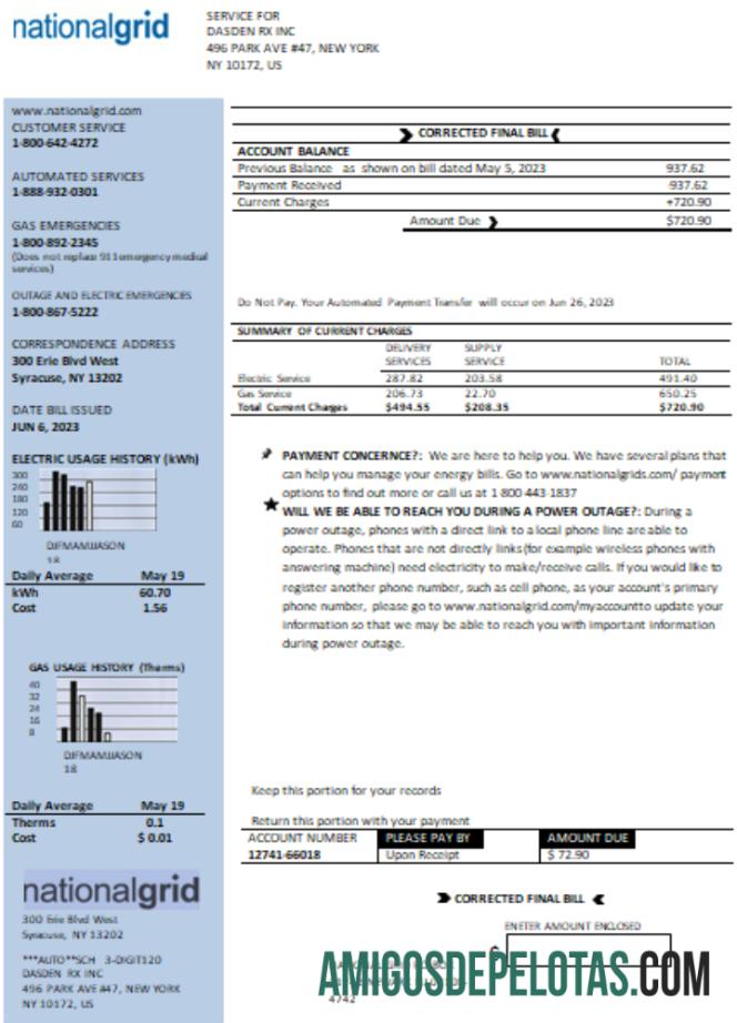 imprimível Projeto de lei de negócios de serviços públicos da rede nacional de Nova York, modelo Word e PDF SCR